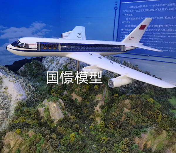 洪湖市飞机模型